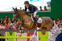 Showjumping