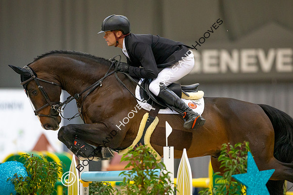 Showjumping