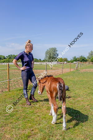 Attridges Equestrian Centre