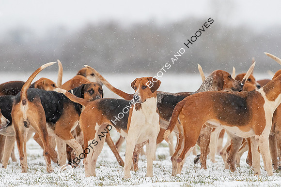Hound Exercise