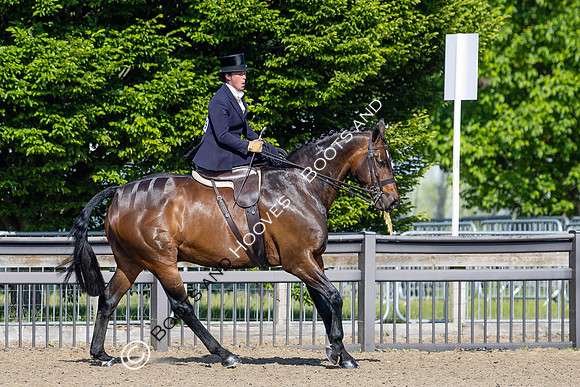 Royal Windsor Horse Show