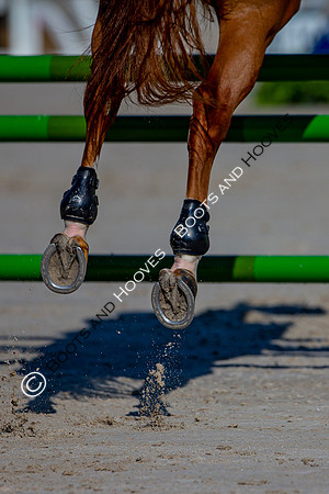 Longines FEI European Championships