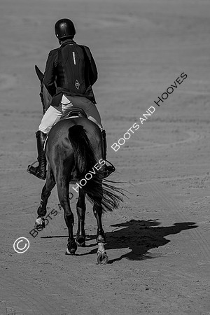 Longines FEI European Championships