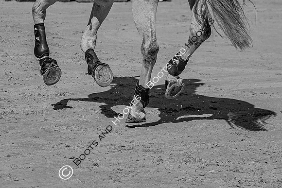 Longines FEI European Championships