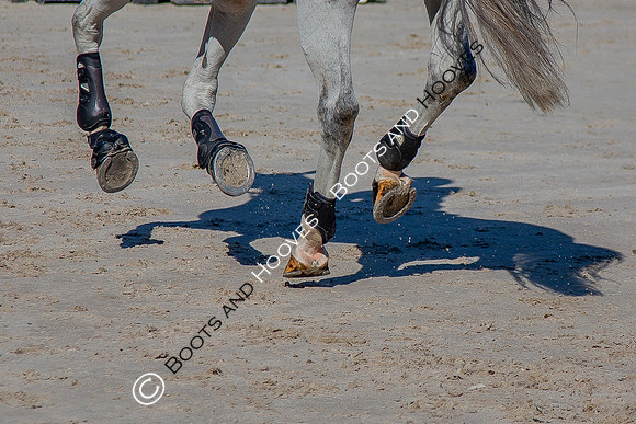 Longines FEI European Championships