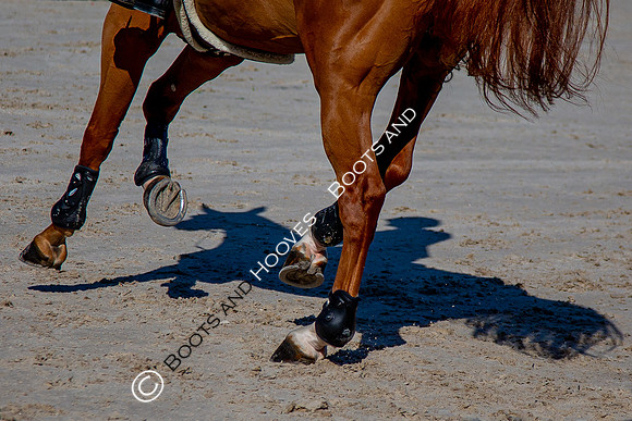 Longines FEI European Championships