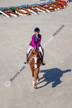 Longines FEI European Championships