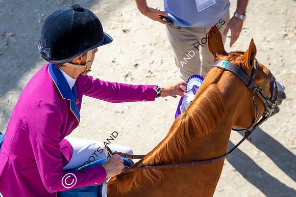 Longines FEI European Championships