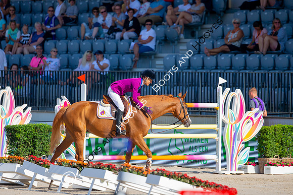 Longines FEI European Championships
