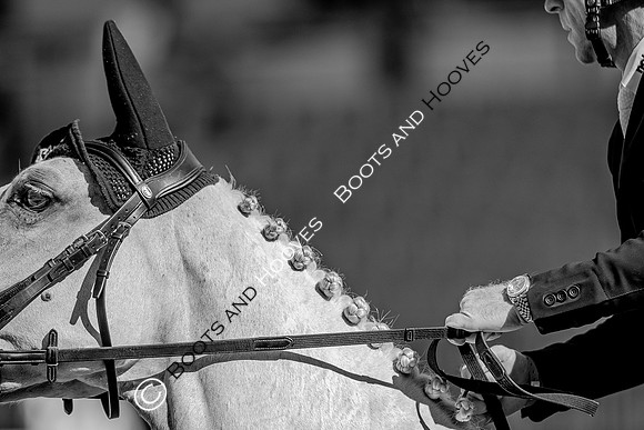 Longines FEI European Championships