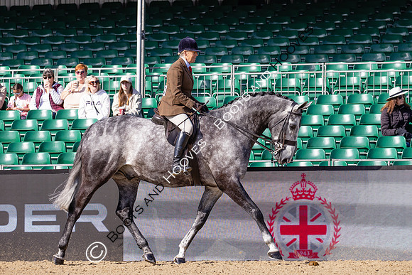 Royal Windsor Horse Show