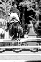 Longines FEI European Championships