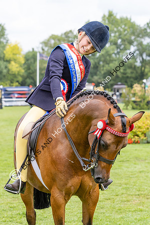The Agria Royal International Horse Show