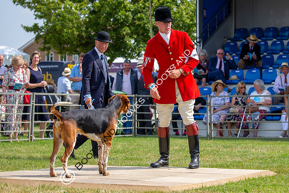 Festival of Hunting