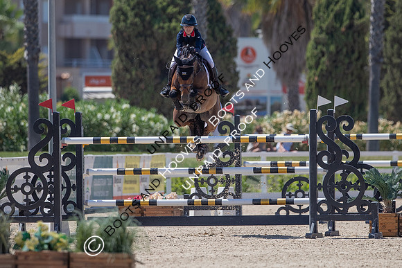 FEI Junior European Championship Young Riders, Juniors & Childre