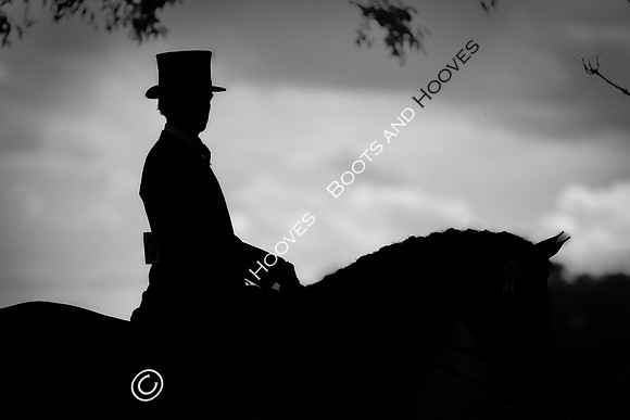 The Royal International Horse Show