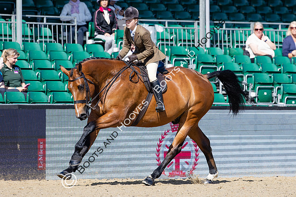 Royal Windsor Horse Show