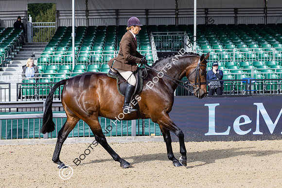Royal Windsor Horse Show