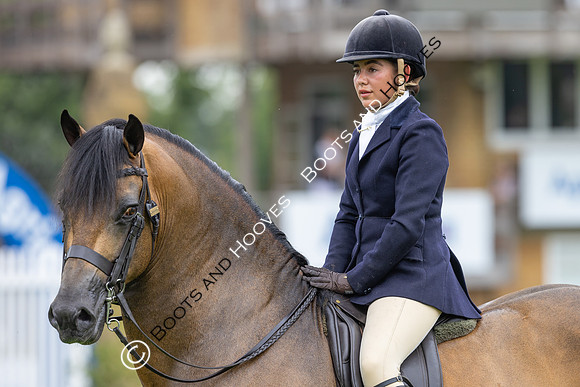 The Agria Royal International Horse Show