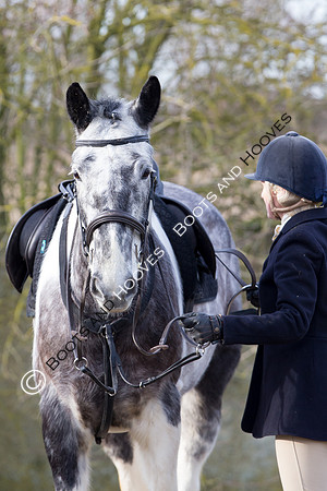 East Essex Hunt. Ladies Day. 29/01/2019 ~ MANDATORY Credit Elli Birch/Bootsandhooves - NO UNAUTHORISED USE - 07745 909676