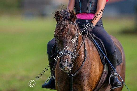 August 20th 2020. ~ MANDATORY Credit Elli Birch/Bootsandhooves - NO UNAUTHORISED USE - 07745909676