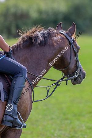 August 20th 2020. ~ MANDATORY Credit Elli Birch/Bootsandhooves - NO UNAUTHORISED USE - 07745909676
