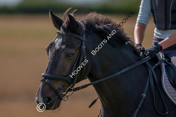 August 20th 2020. ~ MANDATORY Credit Elli Birch/Bootsandhooves - NO UNAUTHORISED USE - 07745909676