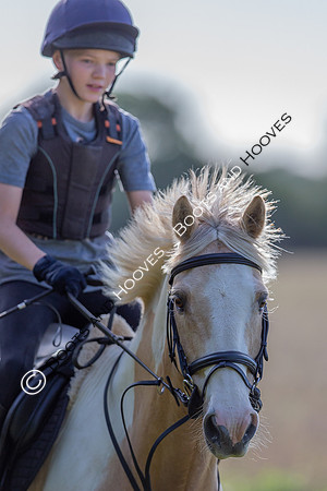 August 20th 2020. ~ MANDATORY Credit Elli Birch/Bootsandhooves - NO UNAUTHORISED USE - 07745909676