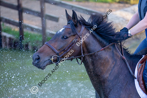 August 20th 2020. ~ MANDATORY Credit Elli Birch/Bootsandhooves - NO UNAUTHORISED USE - 07745909676