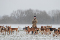 Hound Exercise