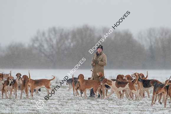 Hound Exercise