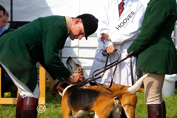 Festival of Hunting