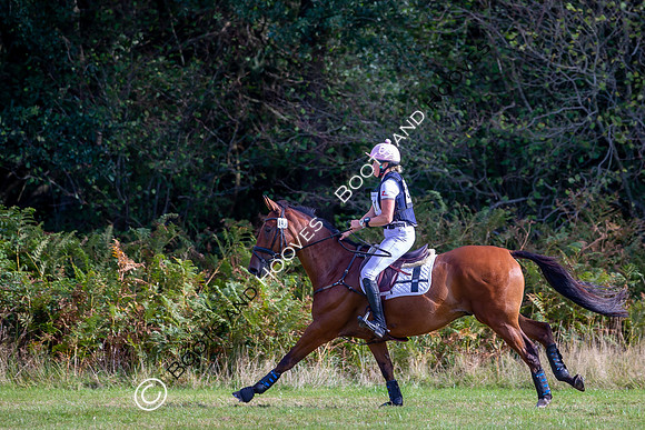 Wellington International Horse Trials