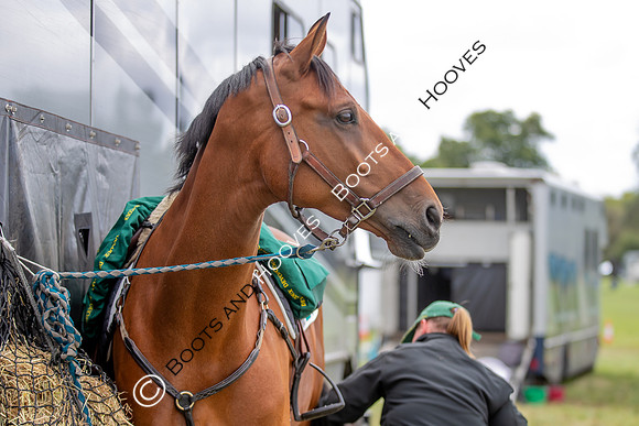 Wellington International Horse Trials