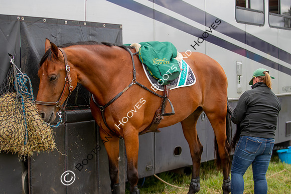 Wellington International Horse Trials