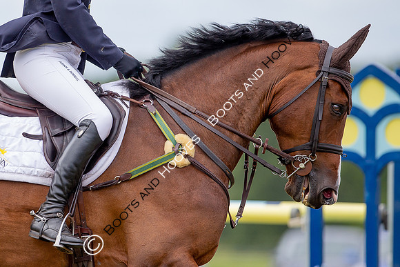 Wellington International Horse Trials