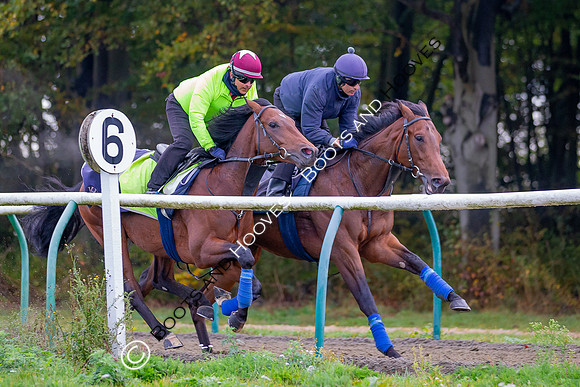 Newmarket