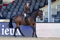 Royal Windsor Horse Show