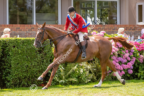The AGRIA Royal International Horse Show