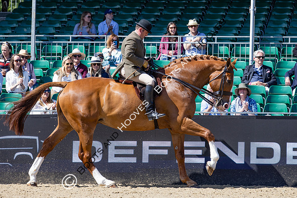 Royal Windsor Horse Show