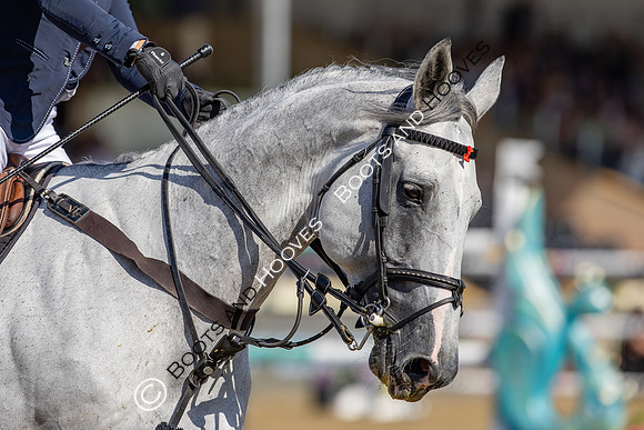 Royal Windsor Horse Show