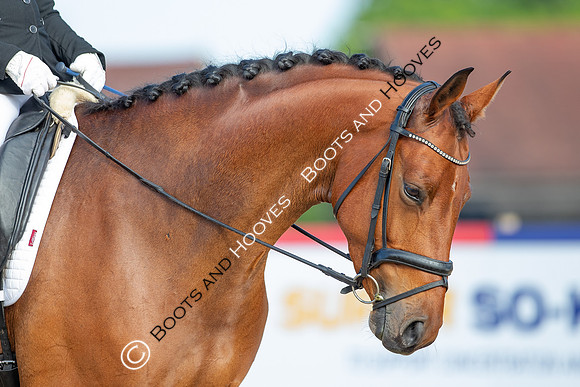 I.C.E Horseboxes All England Dressage Festival