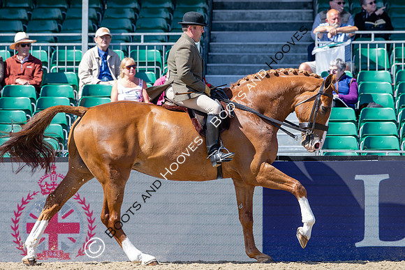 Royal Windsor Horse Show