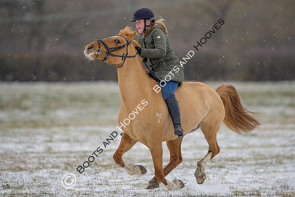 Snow Day