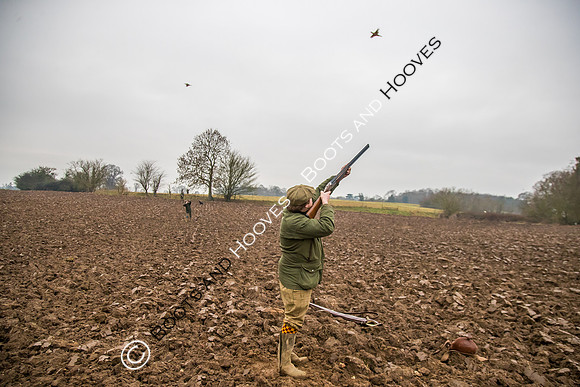 Dines Hall Game Shoot. 23/01/2019 ~ MANDATORY Credit Nick Gunn/Bootsandhooves - NO UNAUTHORISED USE - 07745 909676