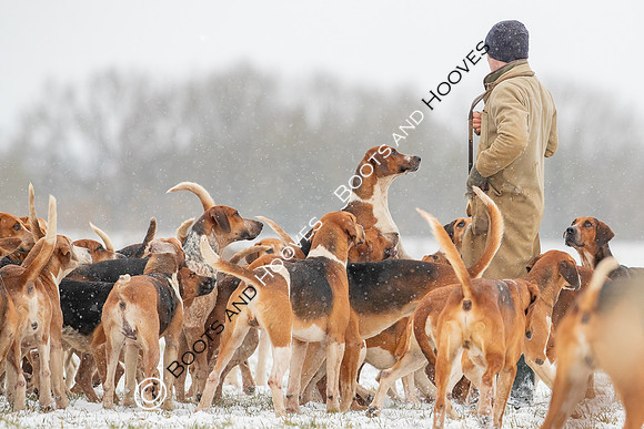 Hound Exercise