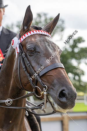 The Royal International Horse Show