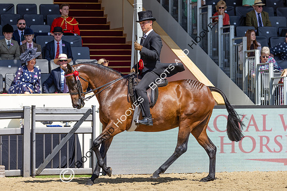 Royal Windsor Horse Show