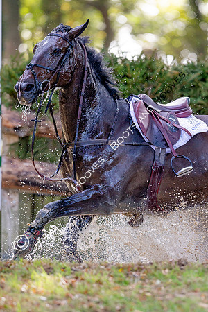 Burnham Market International Horse Trials