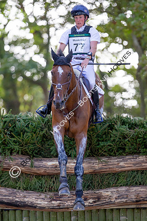 Burnham Market International Horse Trials